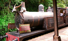 Wildlife Express Train